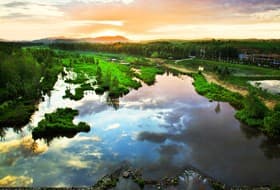 高速桥上游湿地休闲区