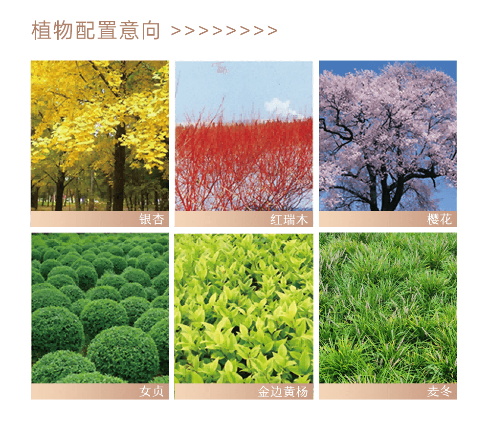 现场混装乳化炸药生产系统技术改造项目 项目图 4